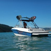 2013 Bayliner BR195 electric