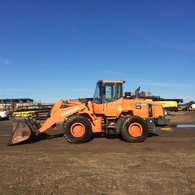 2010 Doosan DL250B