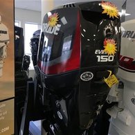 2017 Evinrude E150DGXAB